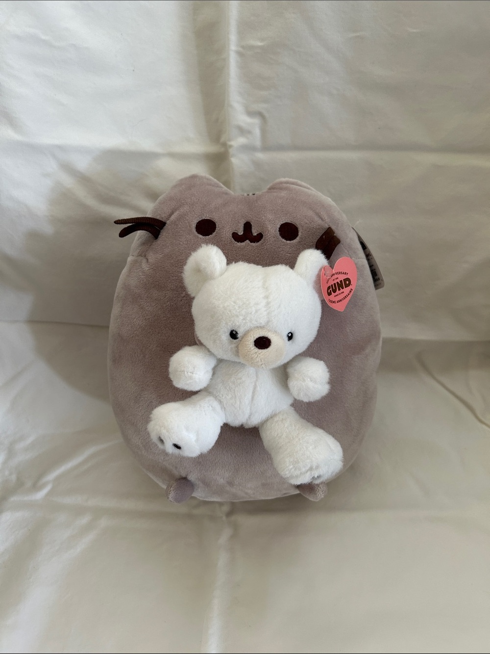 Pusheen holding his bear